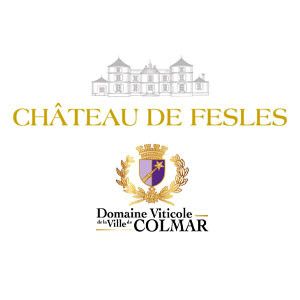 Château De Fesles