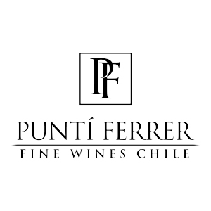 Punti Ferrer